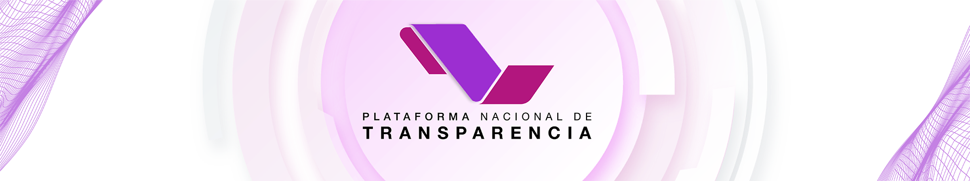 Consulta Pública de la Plataforma Nacional de Transparencia